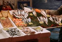 What Restaurants Should Look for in Frozen Fish Supply