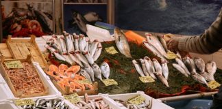 What Restaurants Should Look for in Frozen Fish Supply