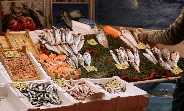 What Restaurants Should Look for in Frozen Fish Supply