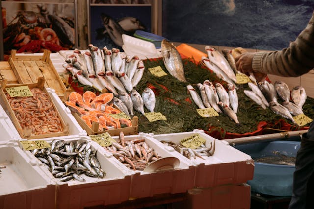 Frozen Fish