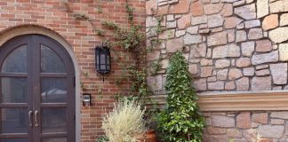 Tips Decoradyard: Simple Ideas to Create a Beautiful Garden Tips Decoradyard