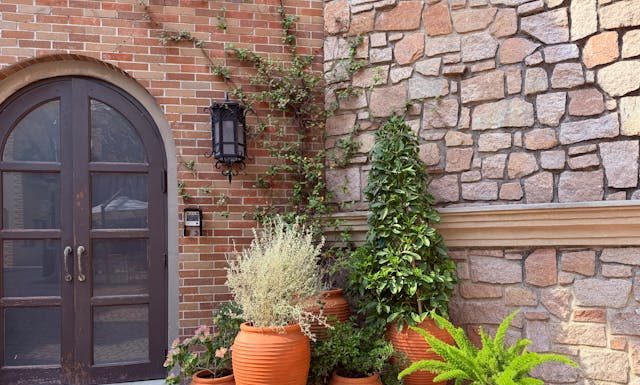 Tips Decoradyard: Simple Ideas to Create a Beautiful Garden Tips Decoradyard