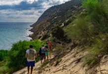 The Best Places to Hike in Israel: Scenic Trails for Every Experience Level