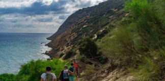 The Best Places to Hike in Israel: Scenic Trails for Every Experience Level
