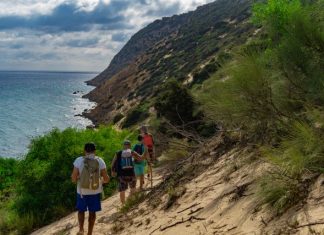 The Best Places to Hike in Israel: Scenic Trails for Every Experience Level