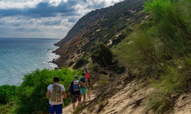 The Best Places to Hike in Israel: Scenic Trails for Every Experience Level