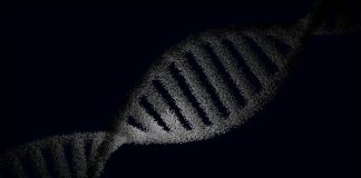 Learning About Your Past with DNA