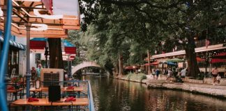 10 Best Gardens And Nature Attractions In And Around San Antonio