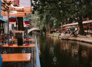 10 Best Gardens And Nature Attractions In And Around San Antonio