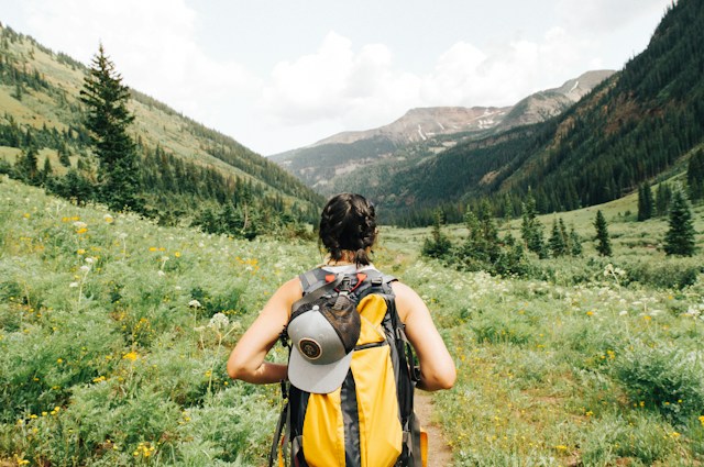 Mineral-Rich Habits for Everyday Stamina