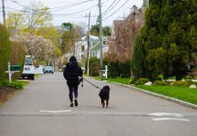 How To Build A Safer, More Comfortable Dog Walking Routine