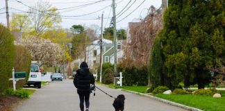 How To Build A Safer, More Comfortable Dog Walking Routine