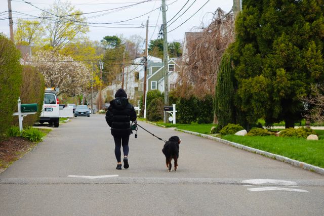 Dog Walking Routine